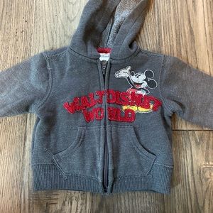 Walt Disney World hoody